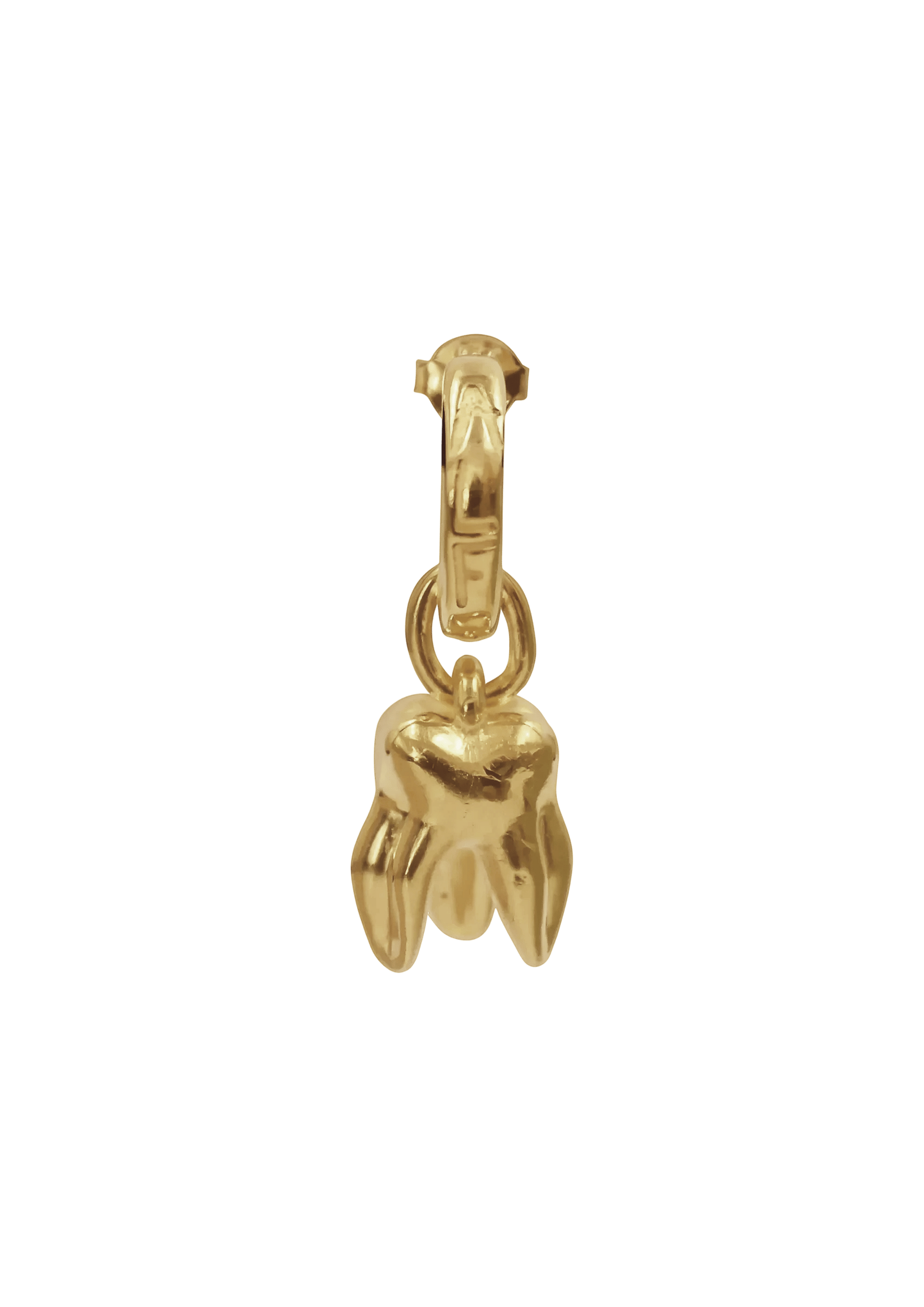 ALF Jewelry molar hoop earring in 18 karat gold vermeil, artisanal luxury piece, handmade Paris